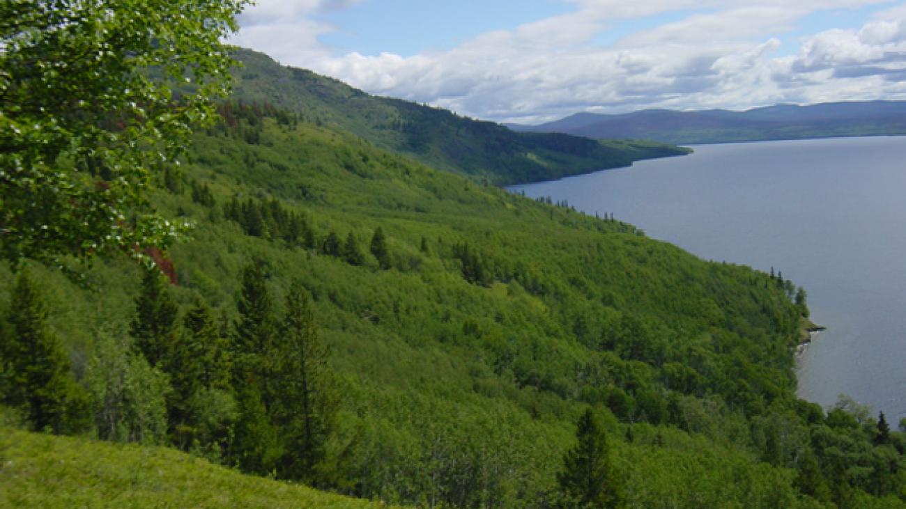 Lush green forested hillside stretching along a large lake under a partly cloudy sky.