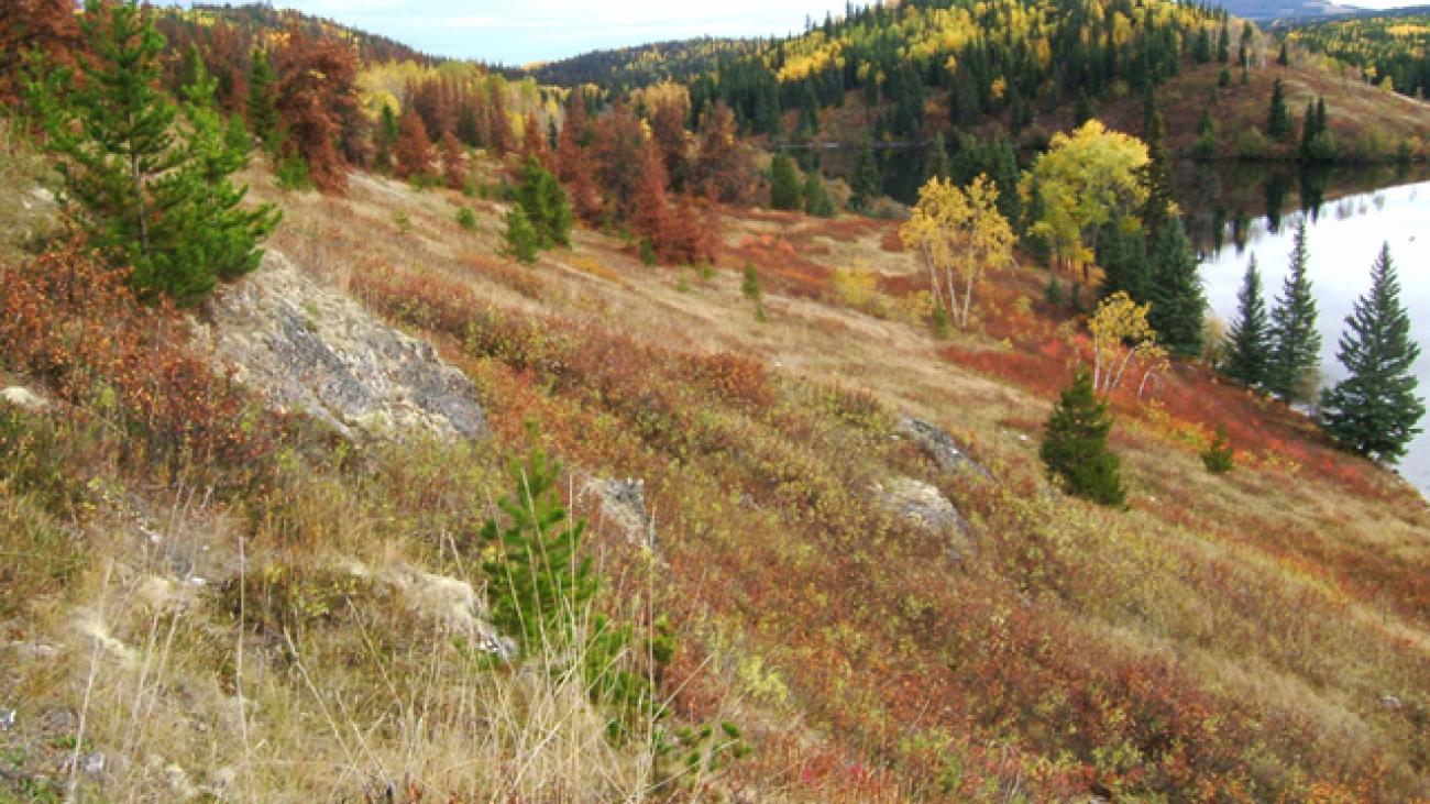 Autumn landscape with colorful foliage on rolling hills beside a reflective lake.