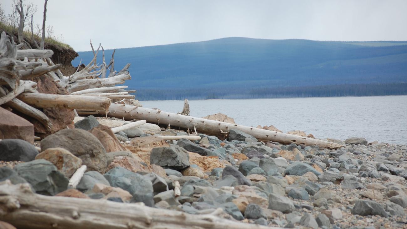 Driftwood and rocks scattered along a remote, rugged lakeshore with distant forested hills.
