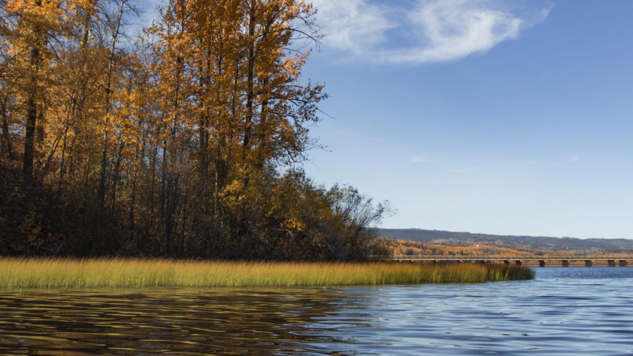 Vibrant autumn trees and shoreline grasses reflected in calm lake water.
