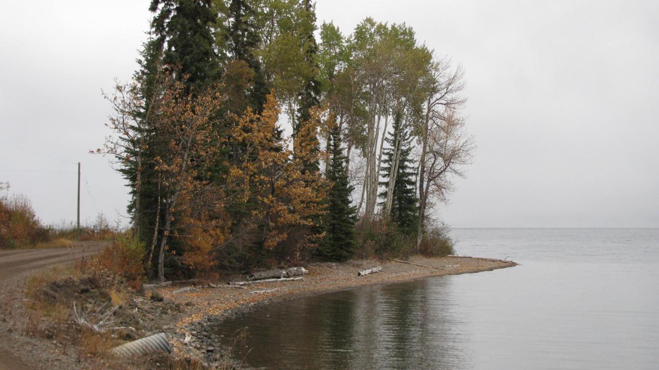 Forested shoreline with autumn trees beside a calm, overcast lake under a cloudy sky.