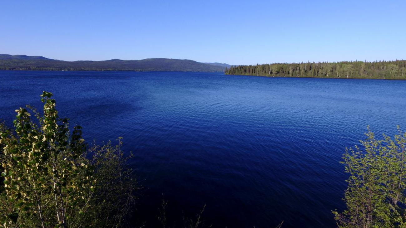 Calm blue lake under clear sky, surrounded by green trees.