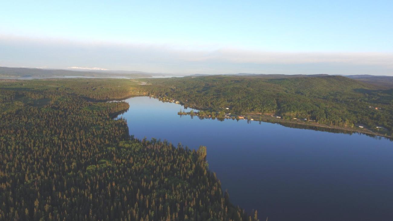 Aerial view of a vast lake surrounded by dense, green forest under a clear blue sky.