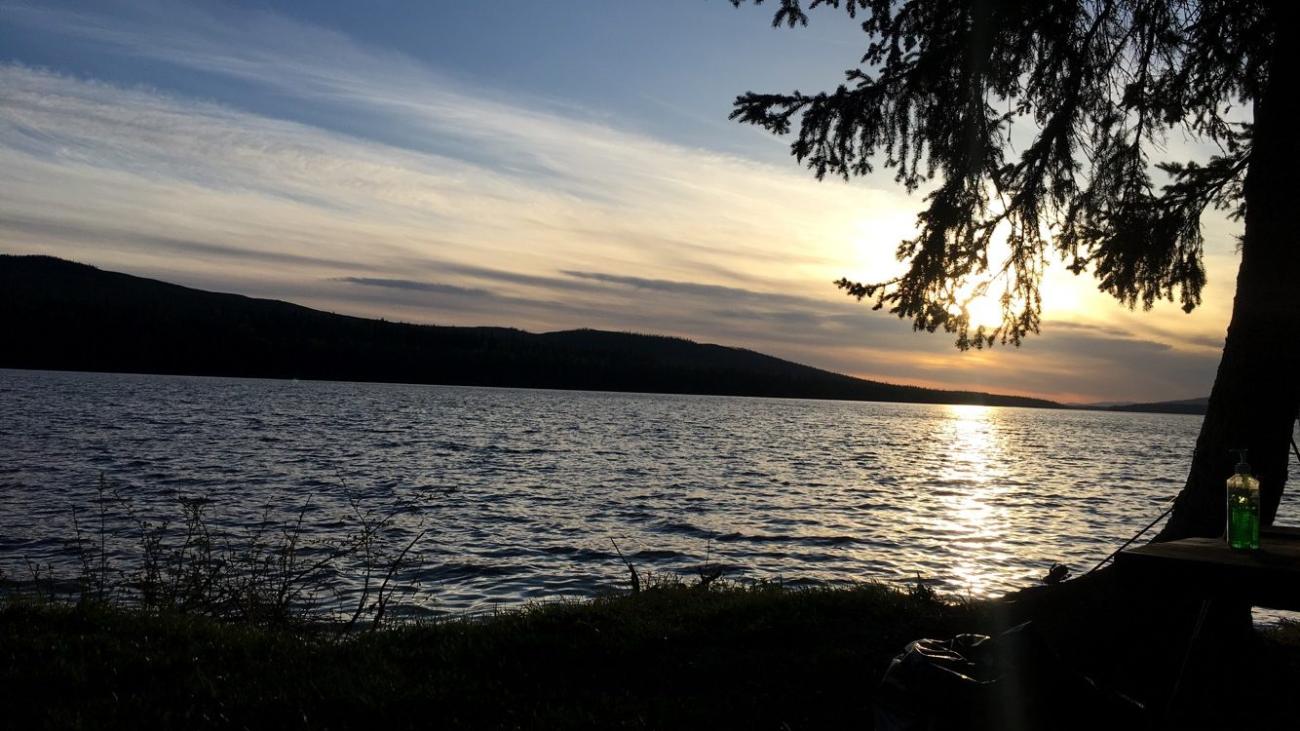 Peaceful lakeside sunset with tree silhouette, rippling water, and a picnic table in the foreground.