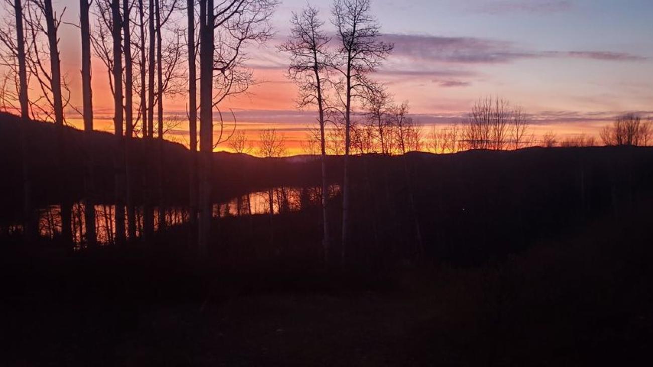 Bare trees silhouetted against a pink and purple sunset with a reflective lake below.