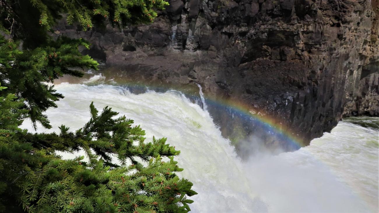 River rapids flowing through a forested gorge under a partly cloudy sky.