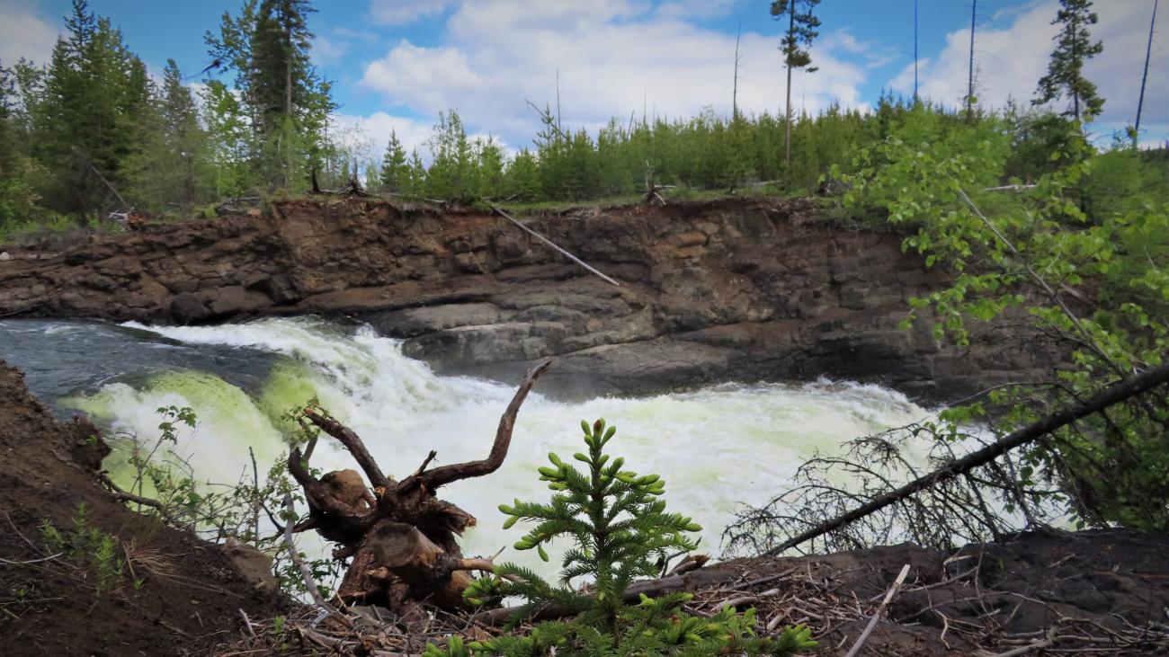 Waterfall with visible rainbow mist, framed by evergreen branches and canyon walls.