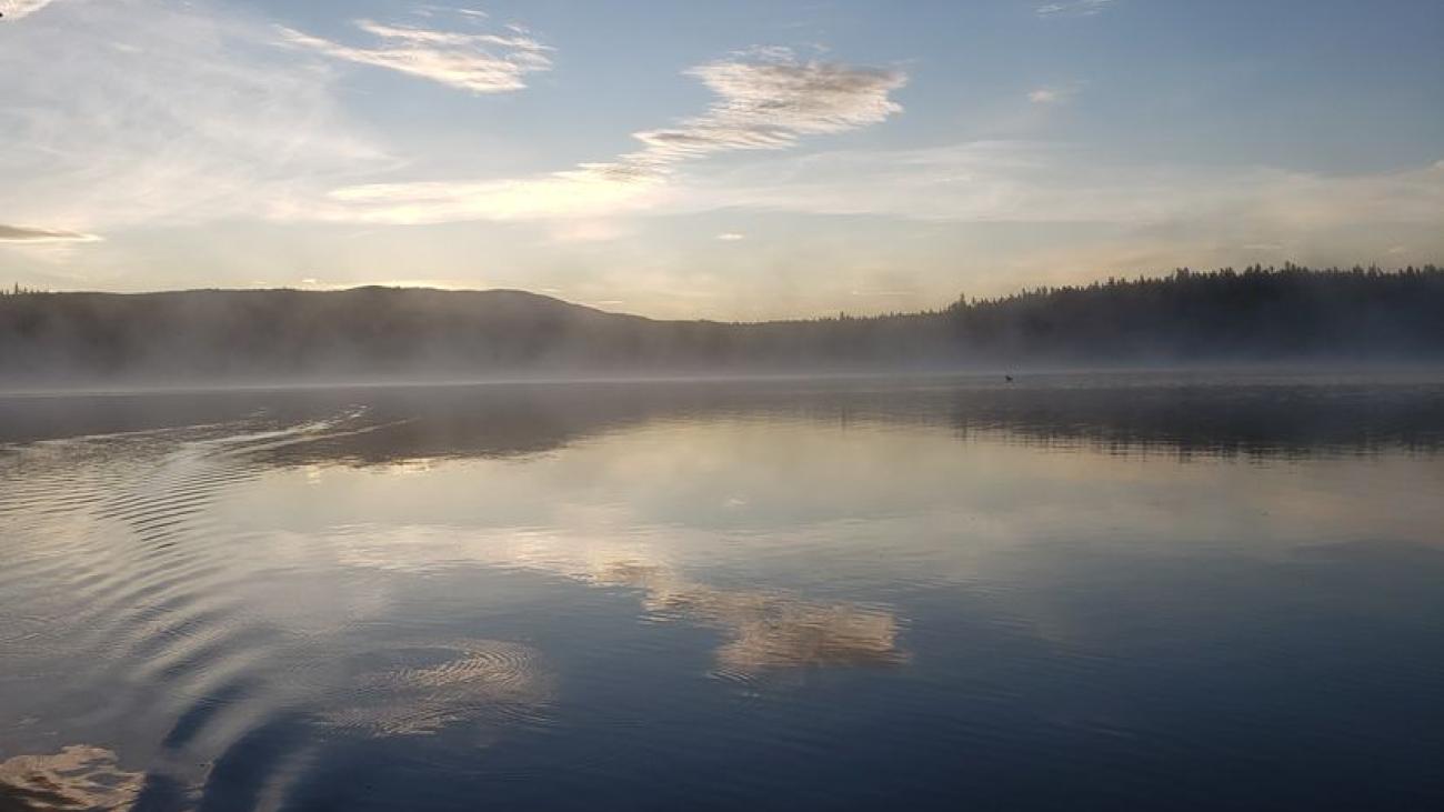 Misty lake at dawn with soft clouds and forest reflections on still water surface.