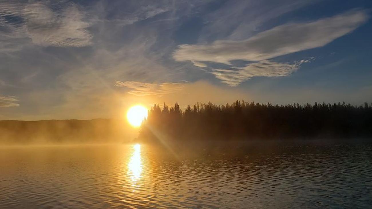 Bright sun rising through lake mist with treeline silhouette and vivid golden light.