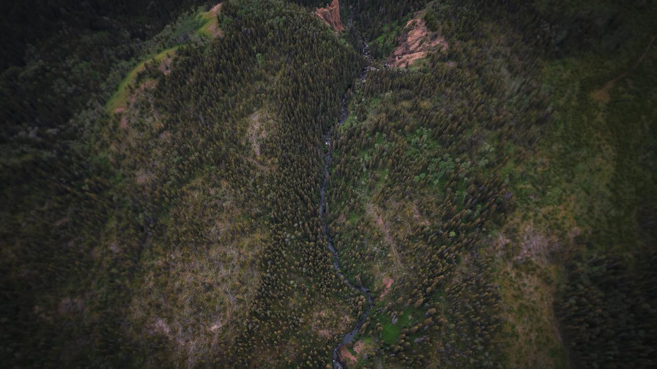 Aerial view of heavily wooded hill.