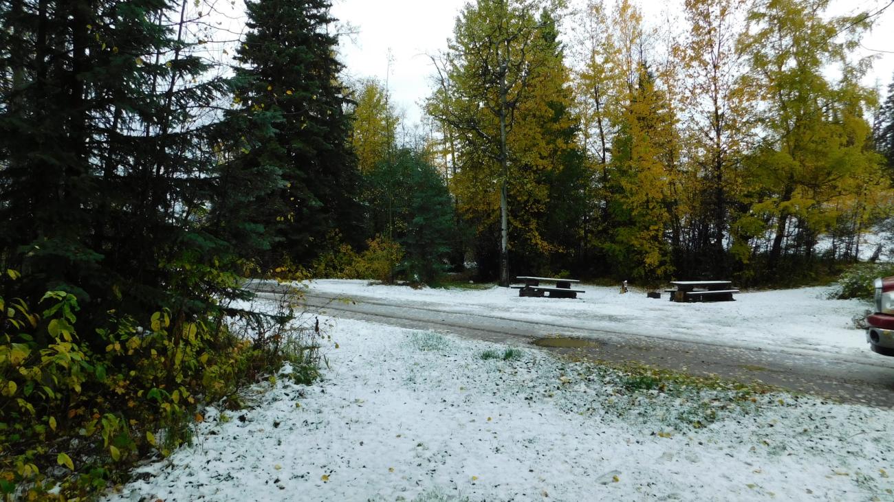 Early snow blankets picnic area and autumn trees near a forest trail.