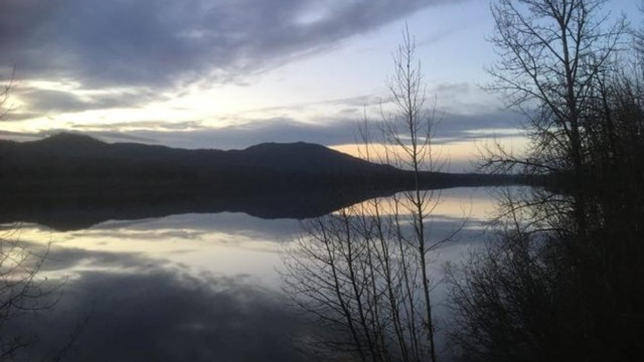 Cozy cabin glowing under star-filled night sky surrounded by leafless forest trees.