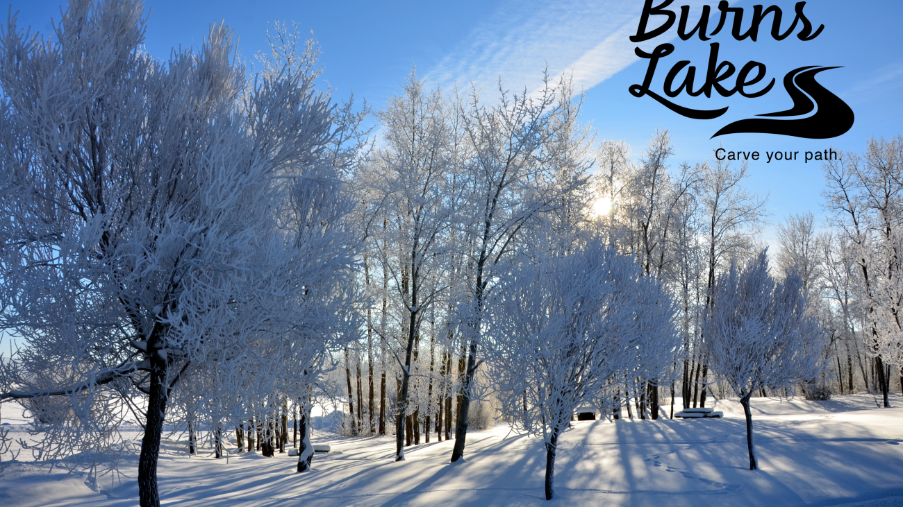 Snow-covered park with frosted trees and sunlight filtering through on a clear winter day.