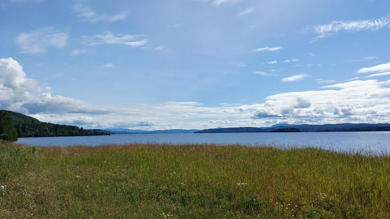 Open grassy lakeshore under a bright blue sky with scattered white clouds.