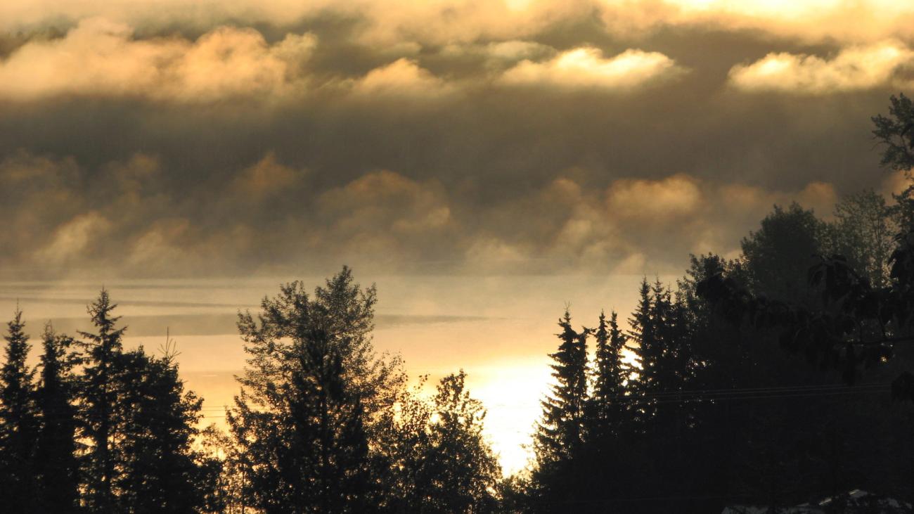 Golden clouds and rising mist above silhouetted trees at dawn near a lake.