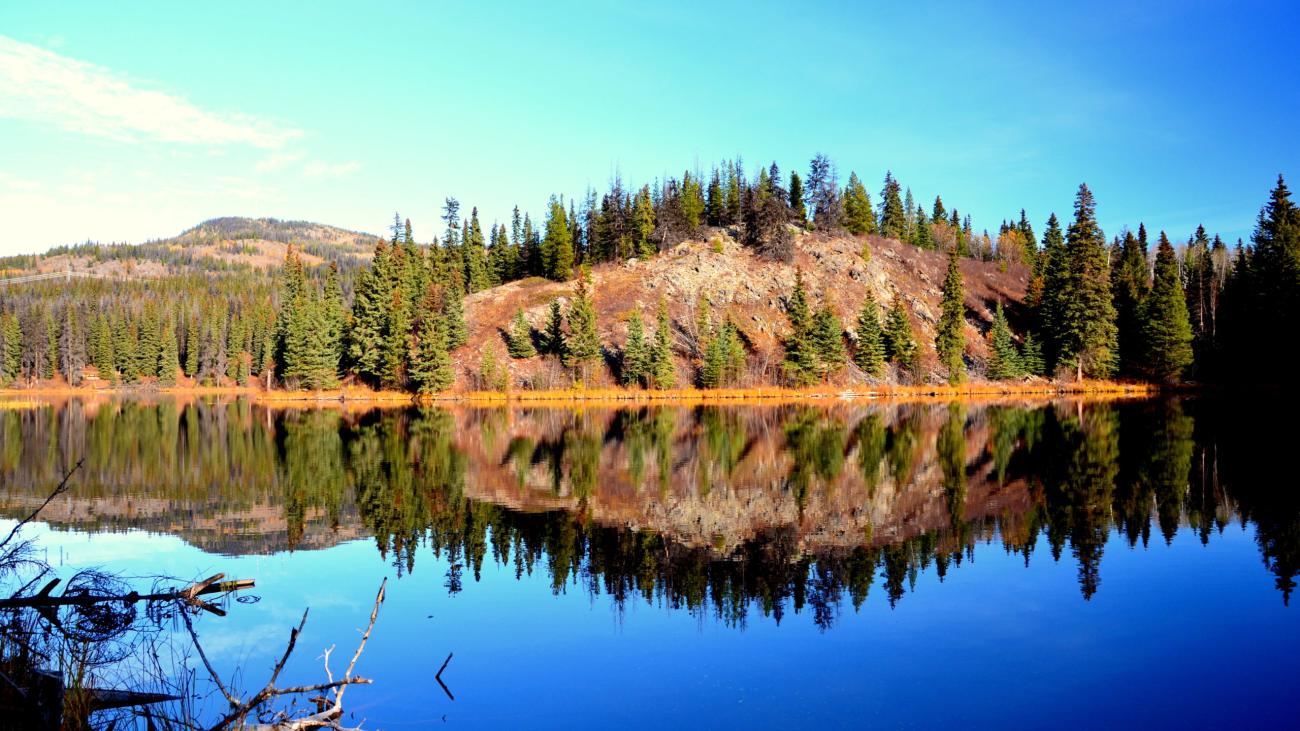 Forested hillside perfectly reflected in a still lake under a bright blue sky.