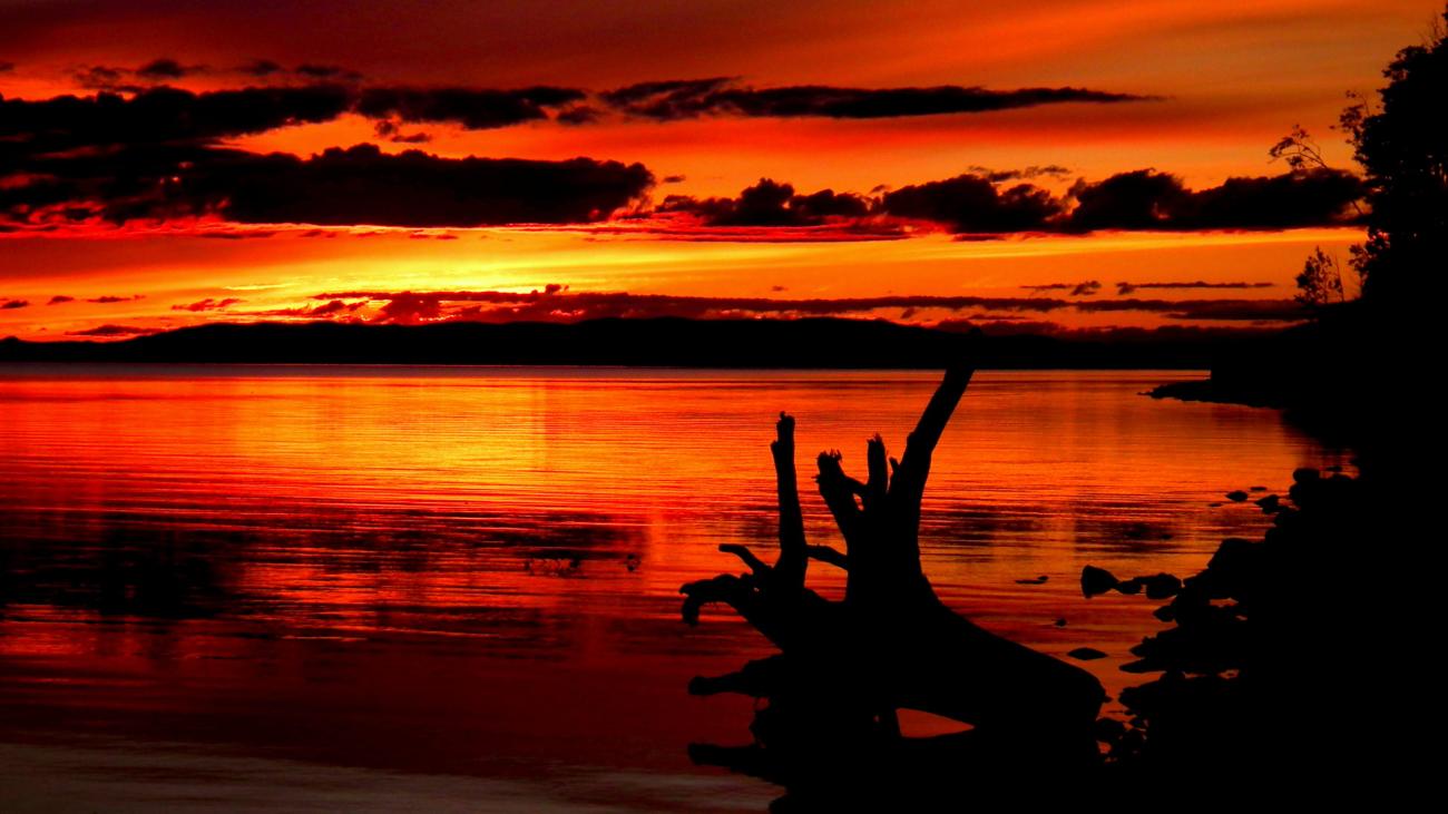 Fiery red and orange sunset reflecting on a still lake with silhouetted driftwood and shoreline.
