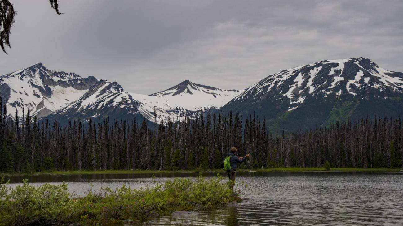 A person stands by a lake with snow-capped mountains in the background.