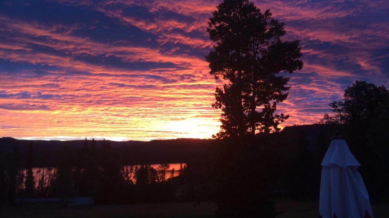 Striking red and purple sunset behind silhouetted trees and a glowing lake.