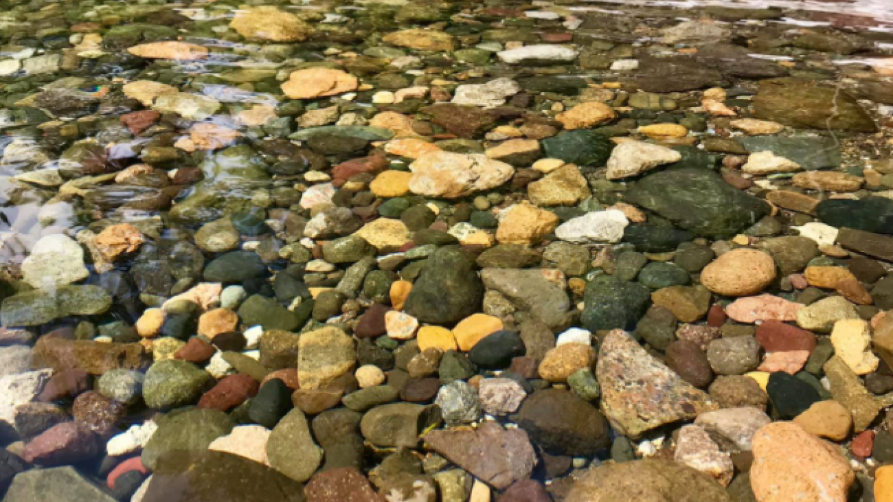 Clear water with colourful pebbles, shoreline, and trees in the background.