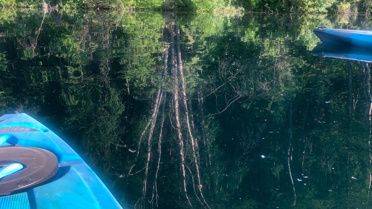 Blue kayak floating on a calm forest lake with trees reflected in the clear water.