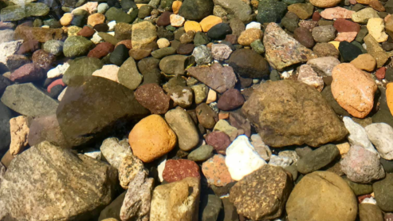 Colorful river rocks visible through clear, shallow water in a natural setting.